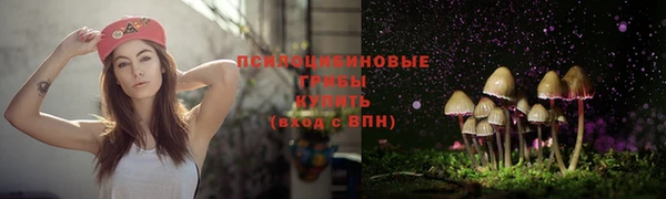 гашик Абаза