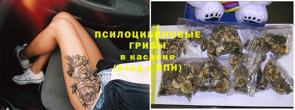 индика Алексеевка